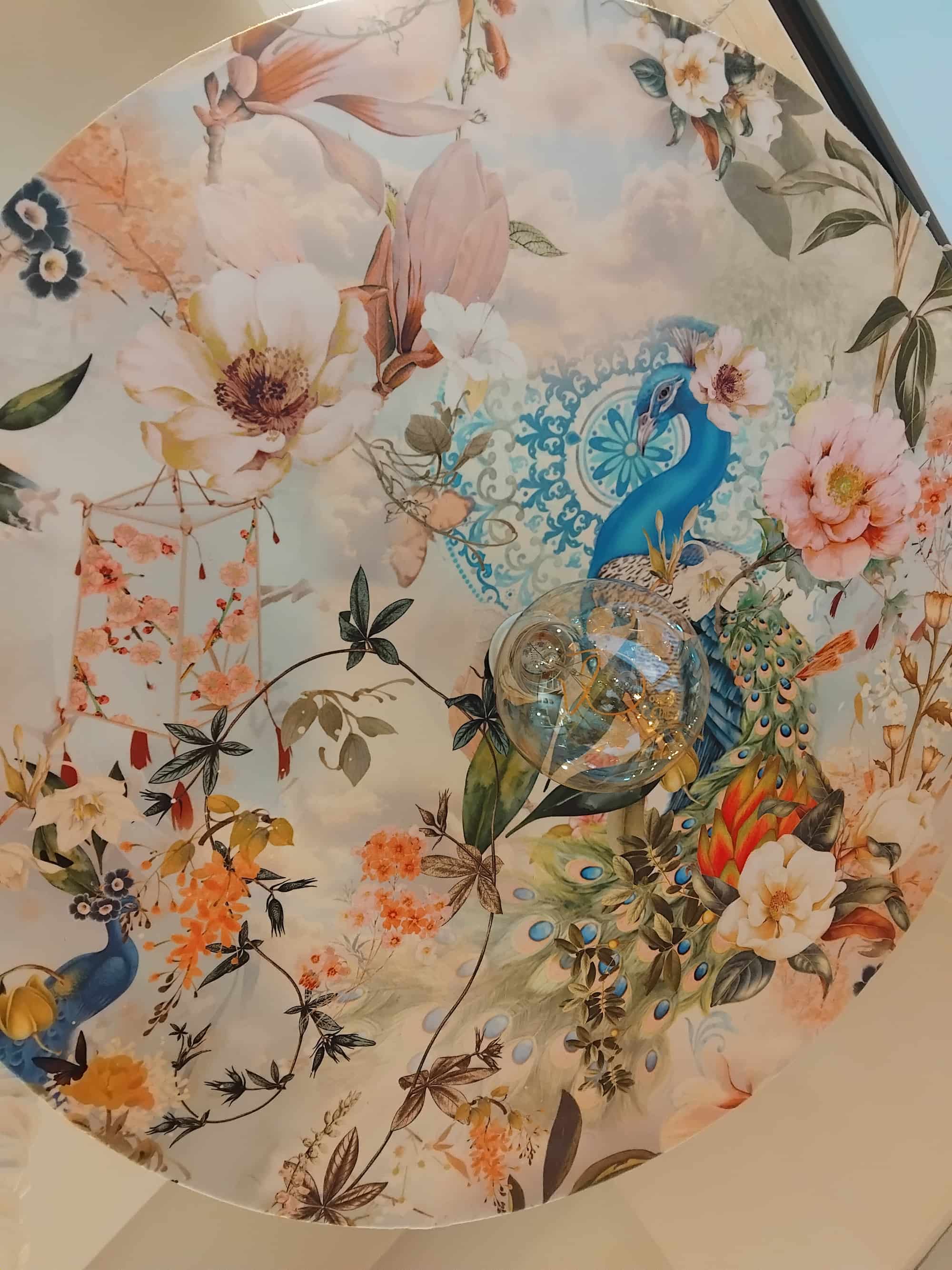 plateau jardin d eden (1)