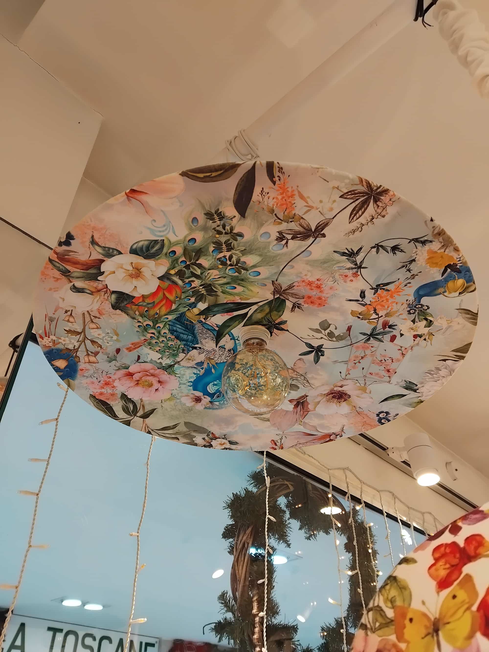 plateau jardin d eden (2)